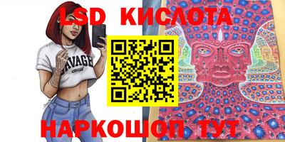 мдпв Кимры