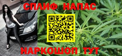 дживик Кингисепп