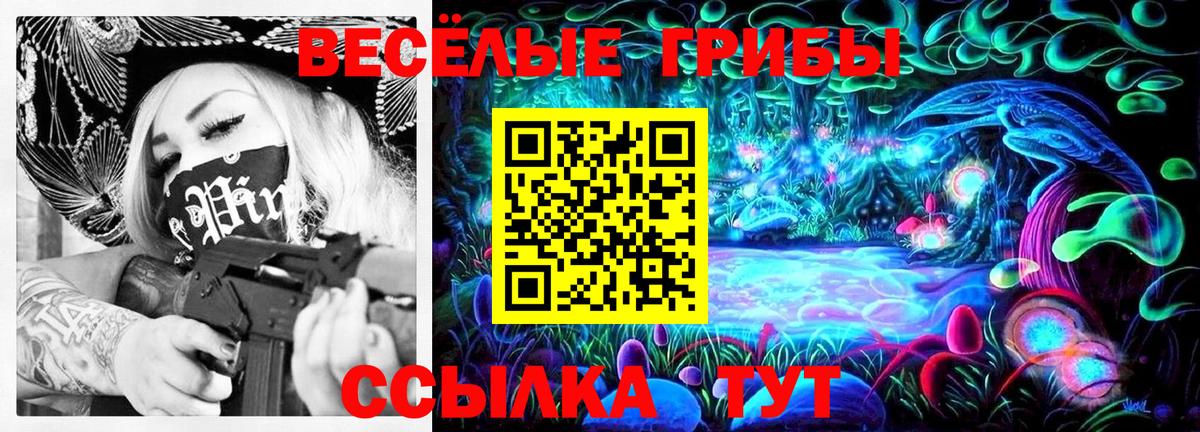 Псилоцибиновые грибы мухоморы Ленинск-Кузнецкий